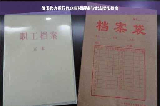 菏泽代办银行流水真相揭秘与合法操作指南