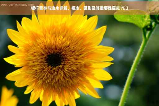 银行留存与流水详解，概念、区别及其重要性探究 ?⚡️