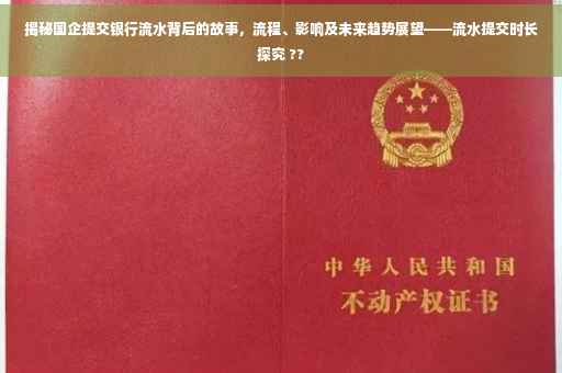 揭秘国企提交银行流水背后的故事，流程、影响及未来趋势展望——流水提交时长探究 ??