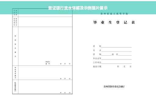 签证银行流水详解及示例图片展示
