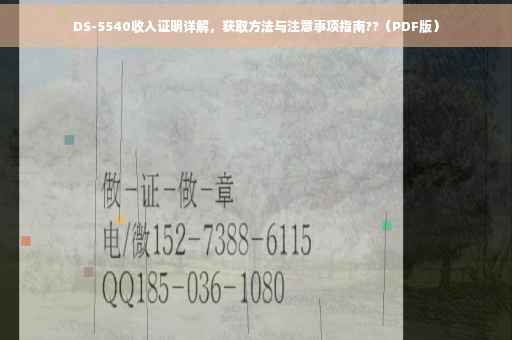 DS-5540收入证明详解，获取方法与注意事项指南??（PDF版）