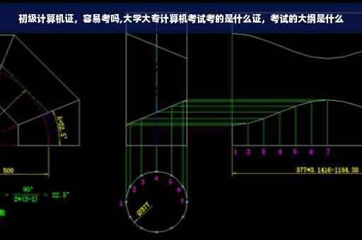 初级计算机证，容易考吗,大学大专计算机考试考的是什么证，考试的大纲是什么