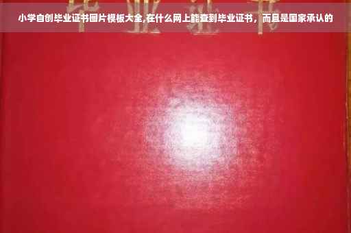 小学自创毕业证书图片模板大全,在什么网上能查到毕业证书，而且是国家承认的