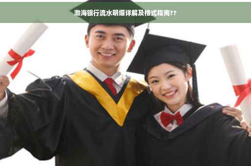 渤海银行流水明细详解及格式指南??