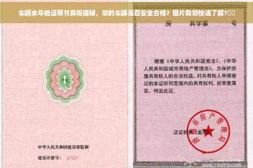 车辆未年检证明书真相揭秘，您的车辆是否安全合格？图片助您快速了解?⚡️