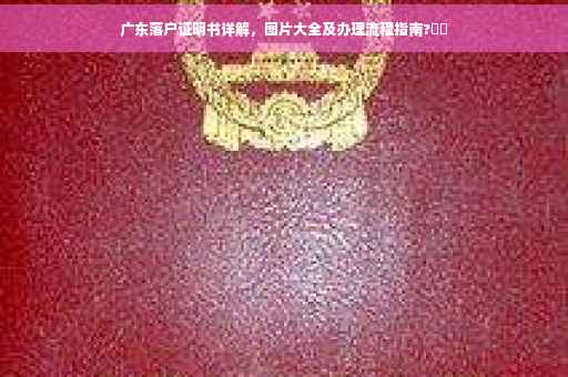 广东落户证明书详解，图片大全及办理流程指南?⚡️