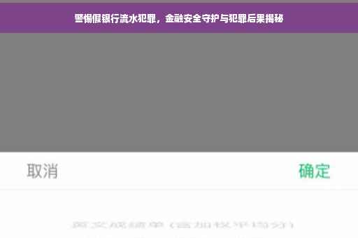 警惕假银行流水犯罪，金融安全守护与犯罪后果揭秘