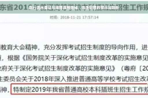 银行流水查证与赌博真相揭秘，违法犯罪的警示与剖析