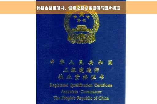 体格合格证明书，健康之路必备证明与图片概览
