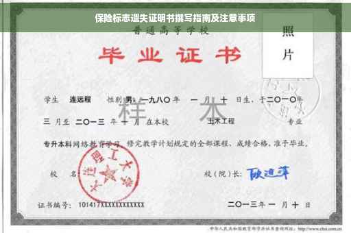 保险标志遗失证明书撰写指南及注意事项