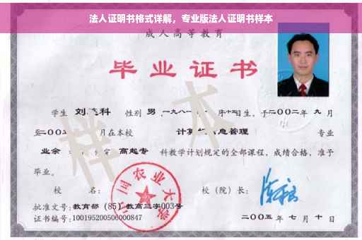 法人证明书格式详解，专业版法人证明书样本