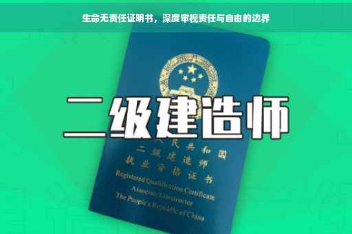 生命无责任证明书，深度审视责任与自由的边界