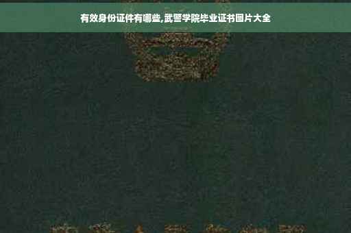 有效身份证件有哪些,武警学院毕业证书图片大全