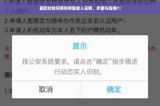 离职时如何顺利获取收入证明，步骤与指南?✨