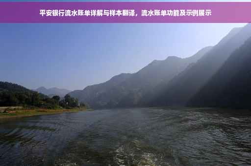 平安银行流水账单详解与样本翻译，流水账单功能及示例展示