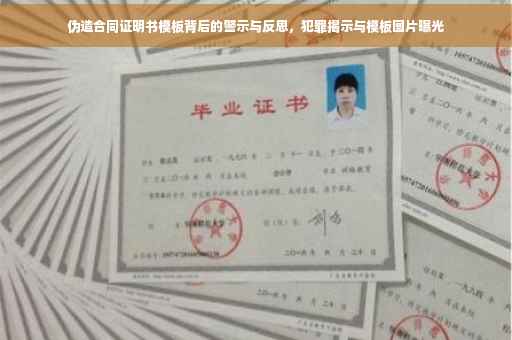 伪造合同证明书模板背后的警示与反思，犯罪揭示与模板图片曝光