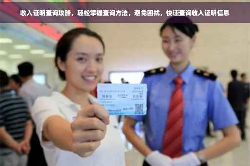 收入证明查询攻略，轻松掌握查询方法，避免困扰，快速查询收入证明信息
