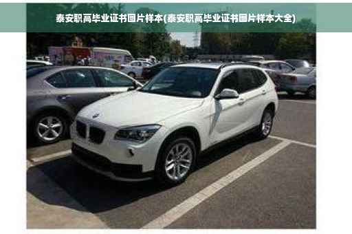 泰安职高毕业证书图片样本(泰安职高毕业证书图片样本大全)