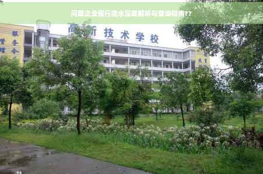 问题企业银行流水深度解析与查询指南??