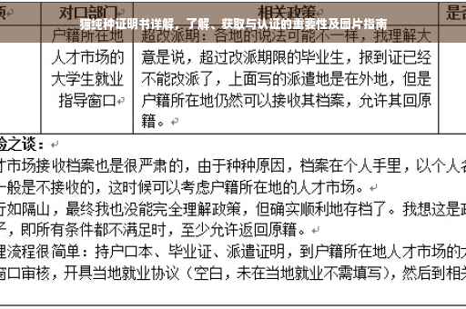 猫纯种证明书详解，了解、获取与认证的重要性及图片指南