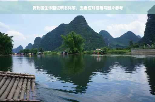 骨刺医生诊断证明书详解，患者应对指南与图片参考