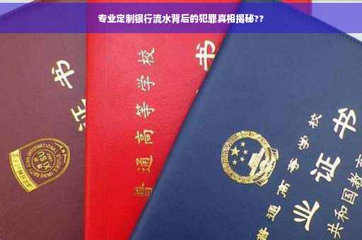 专业定制银行流水背后的犯罪真相揭秘??