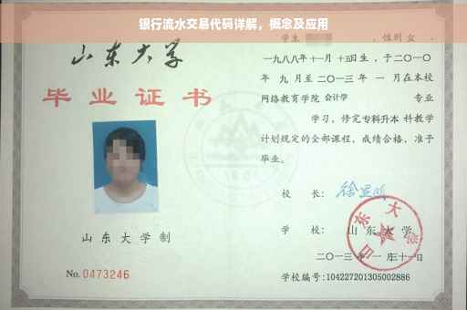 银行流水交易代码详解，概念及应用