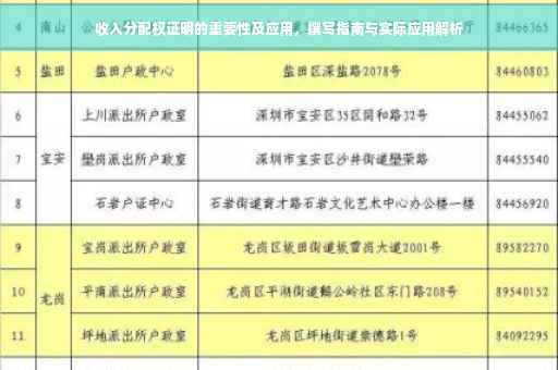 收入分配权证明的重要性及应用，撰写指南与实际应用解析