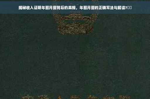 揭秘收入证明年薪月薪背后的真相，年薪月薪的正确写法与解读?⚡️