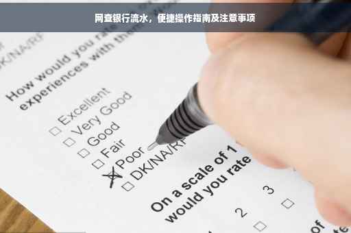 网查银行流水，便捷操作指南及注意事项