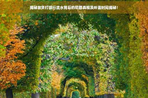 揭秘放贷打银行流水背后的犯罪真相及所需时间揭秘！