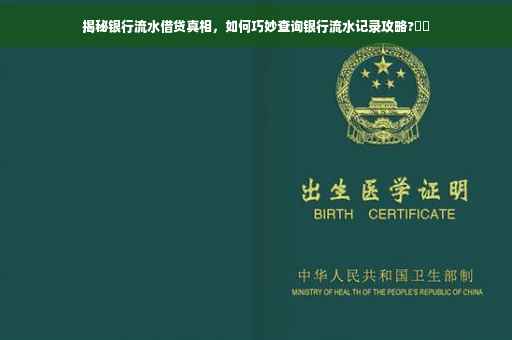 揭秘银行流水借贷真相，如何巧妙查询银行流水记录攻略?⚡️