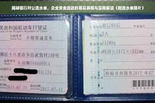 揭秘银行对公流水单，企业资金流动的幕后真相与深度解读（附流水单图片）