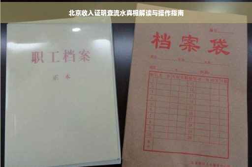 北京收入证明查流水真相解读与操作指南