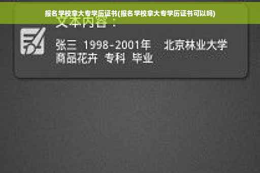 报名学校拿大专学历证书(报名学校拿大专学历证书可以吗)