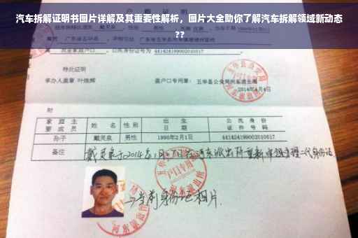 汽车拆解证明书图片详解及其重要性解析，图片大全助你了解汽车拆解领域新动态 ??