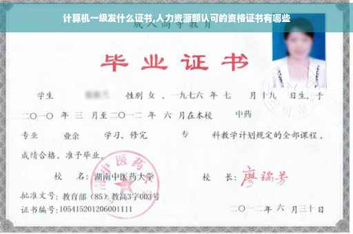 计算机一级发什么证书,人力资源部认可的资格证书有哪些