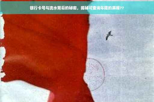 银行卡号与流水背后的秘密，揭秘可查询年限的真相??