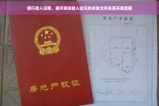 银行收入证明，揭示真实收入状况的关键文件及其开具流程