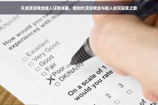天津灵活就业收入证明详解，新时代灵活就业与收入状况探索之路