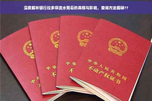 深度解析银行拉多级流水背后的真相与影响，查询方法揭秘??