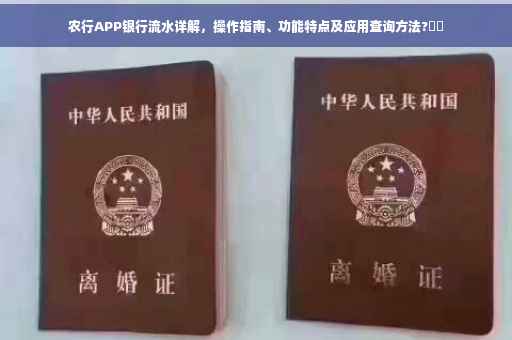 农行APP银行流水详解，操作指南、功能特点及应用查询方法?⚡️