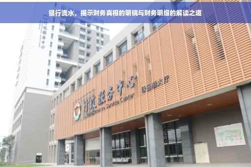 银行流水，揭示财务真相的明镜与财务明细的解读之道