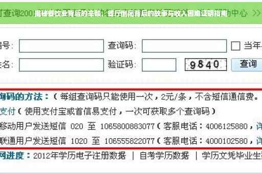 揭秘餐饮业背后的辛酸，餐厅倒闭背后的故事与收入困难证明指南