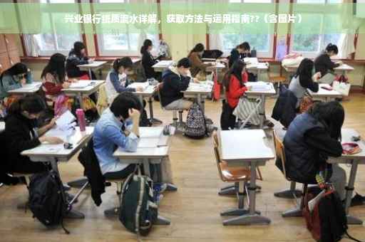兴业银行纸质流水详解，获取方法与运用指南??（含图片）