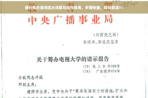 银行柜台查询流水详解与操作指南，步骤快捷，轻松解读?✨
