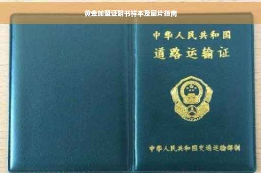 黄金加盟证明书样本及图片指南