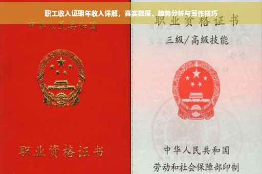 职工收入证明年收入详解，真实数据、趋势分析与写作技巧