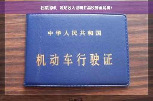 独家揭秘，潍坊收入证明开具攻略全解析?