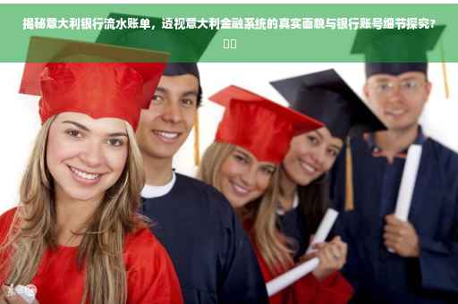 揭秘意大利银行流水账单，透视意大利金融系统的真实面貌与银行账号细节探究?⚡️